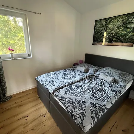 Mondsee/attersee Apartment *